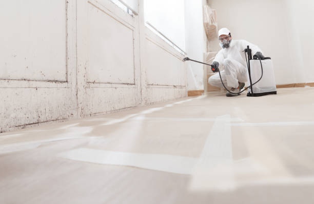 24/7 Emergency Mold Remediation experts in Atlantic, VA