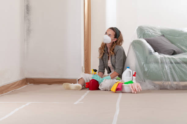 Reliable Mold Remediation contractor in Atlantic, VA by 24 Hour Mold Removal